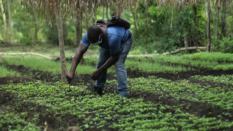 Agricultural Loan Image